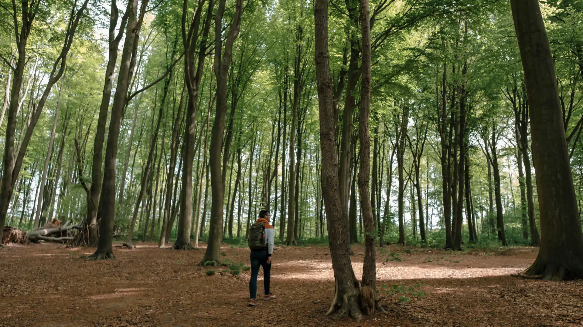 Homme marchant dans le bois de la Houssière