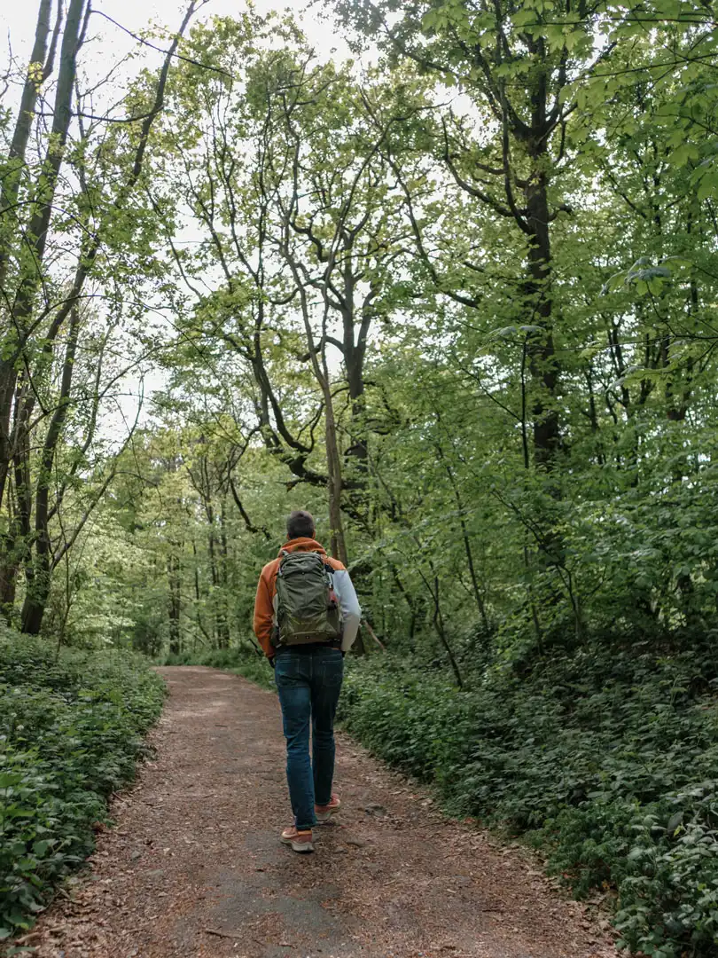 Homme marchant sur un sentier dans le bois de la Houssière