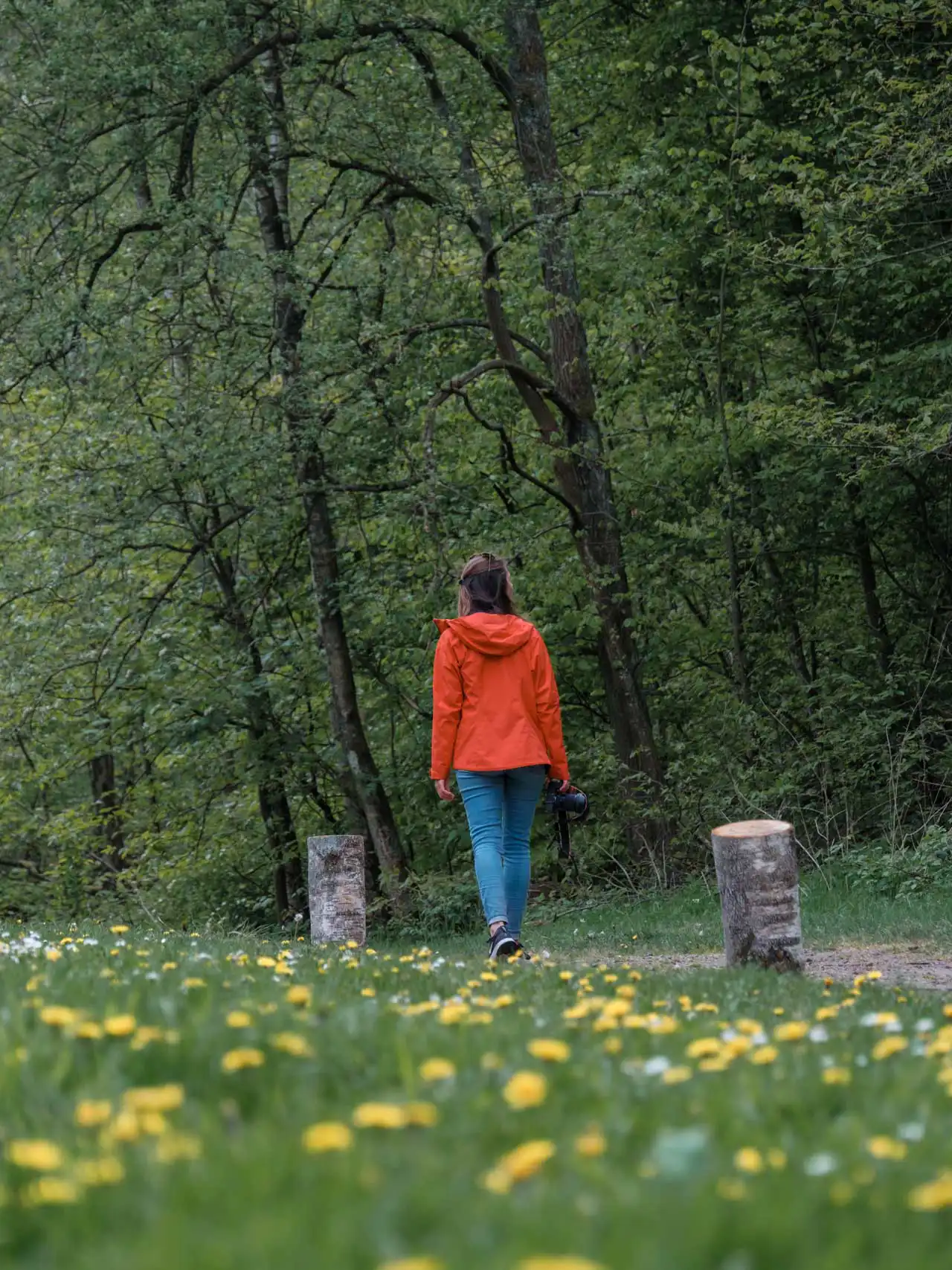 Femme avec une veste rouge marchant dans une prairie fleurie au bord du Bois de la Houssière
