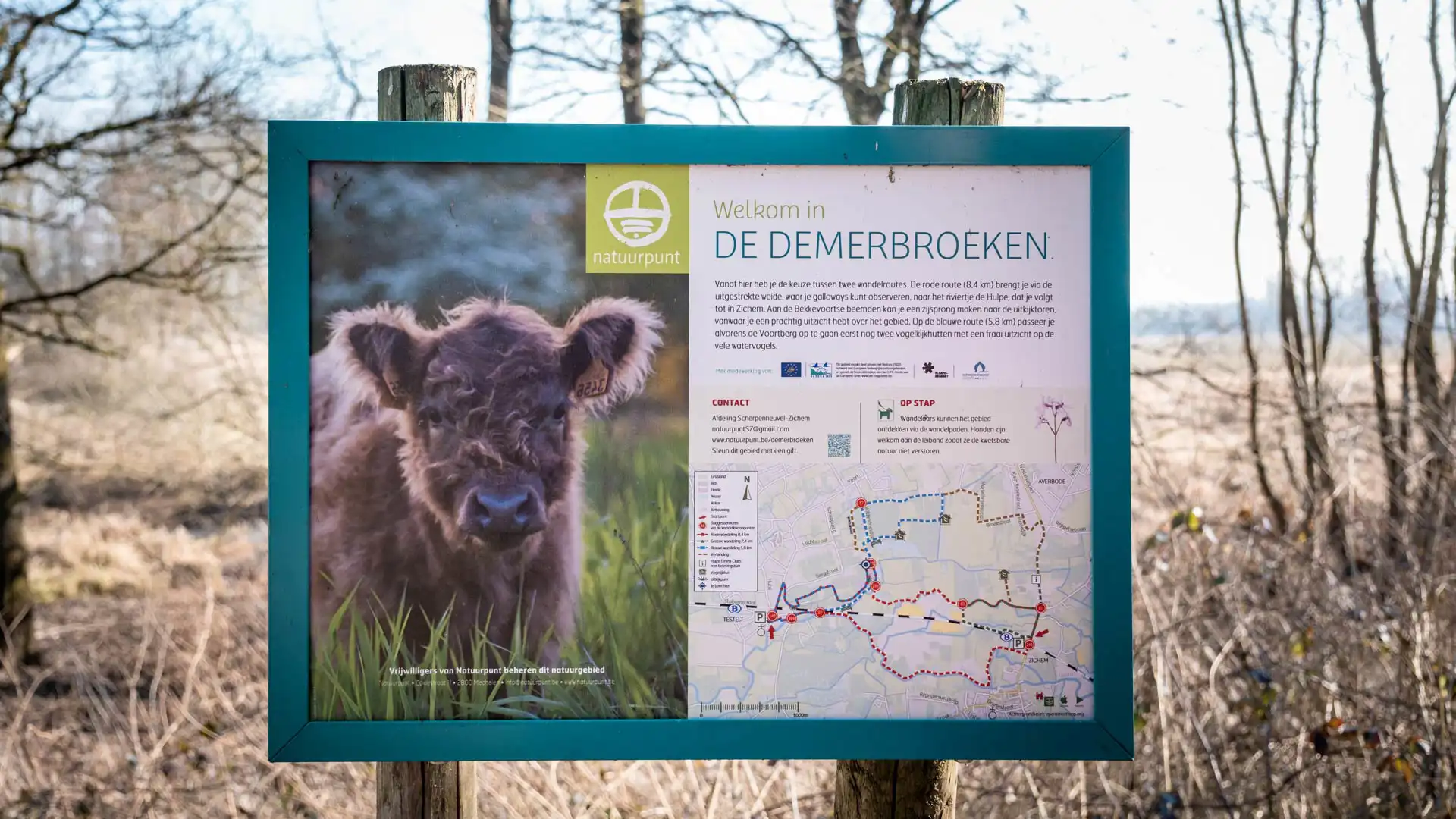 Panneaux d'information avec la carte des randonnées du Demerbroeken