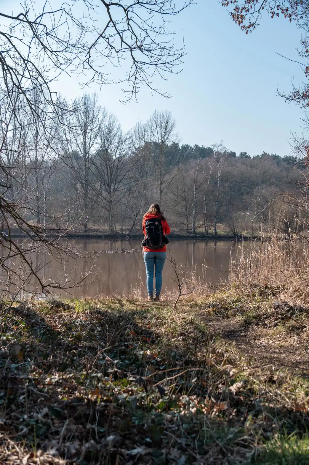 Femme de dos observant un étang du Demerbroeken