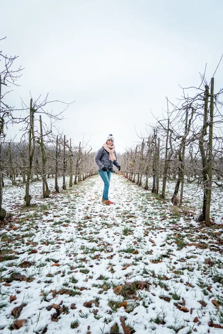 wijngaardberg - Fille marchant dans les rangées de pommiers sous la neige