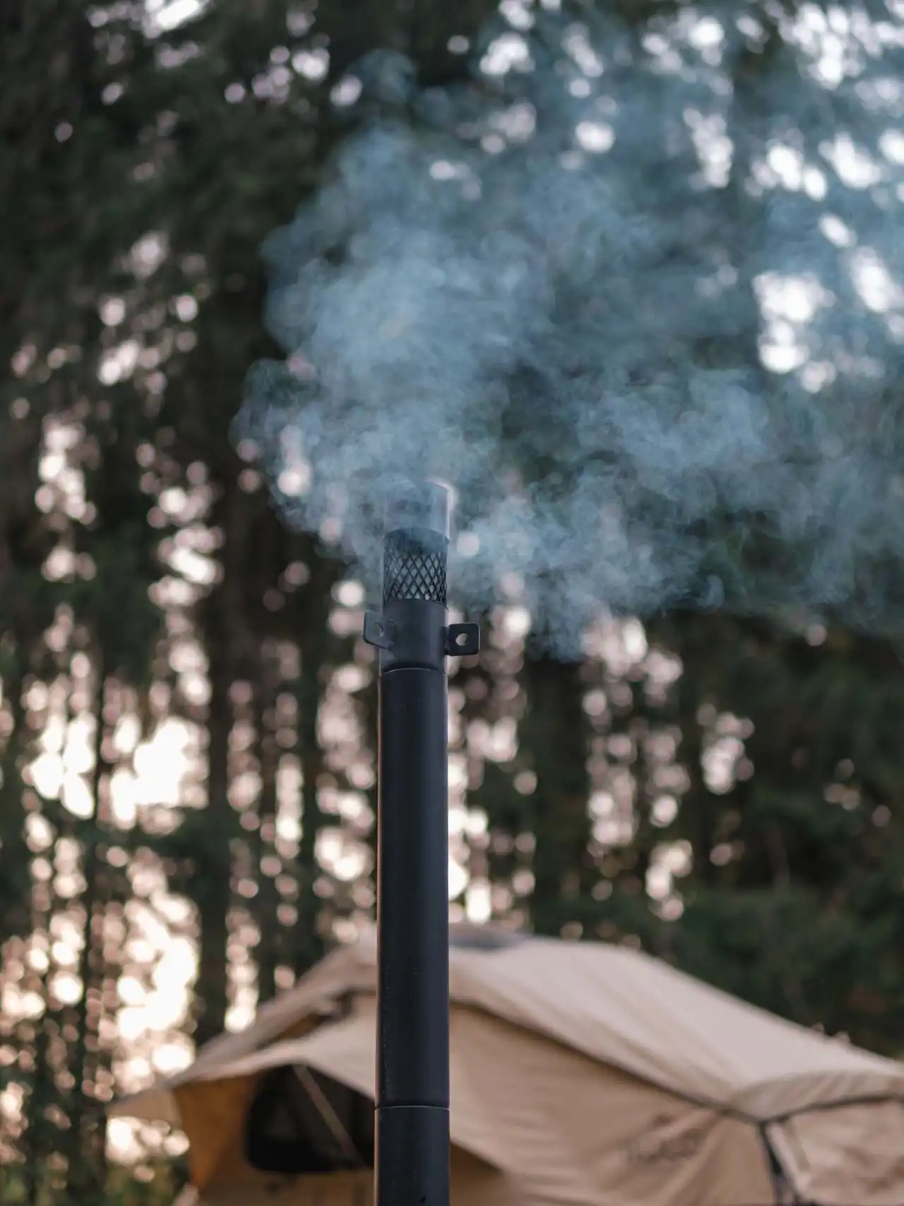 Fumée qui sort d'une cheminée en forêt