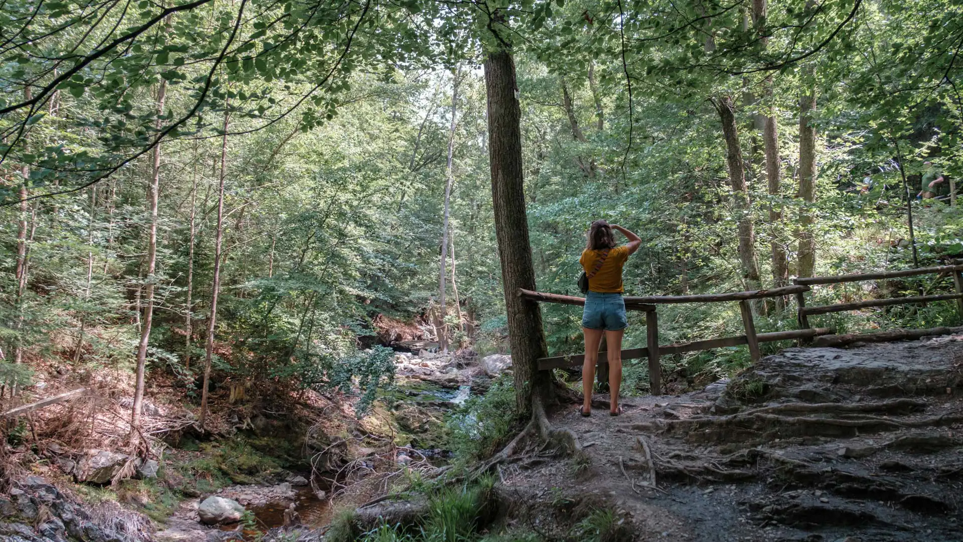 Femme prenant une photo en forêt - Vallée de la Hoëgne