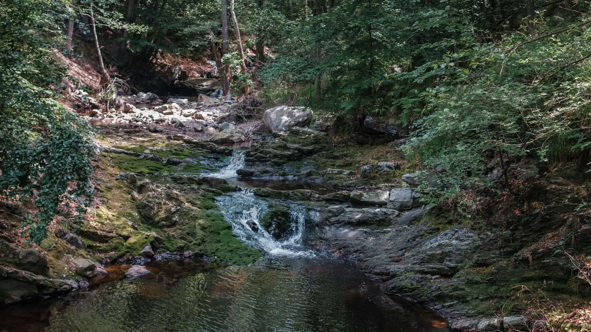 Petite cascades, rivière et forêt en Vallée de la Hoëgne 