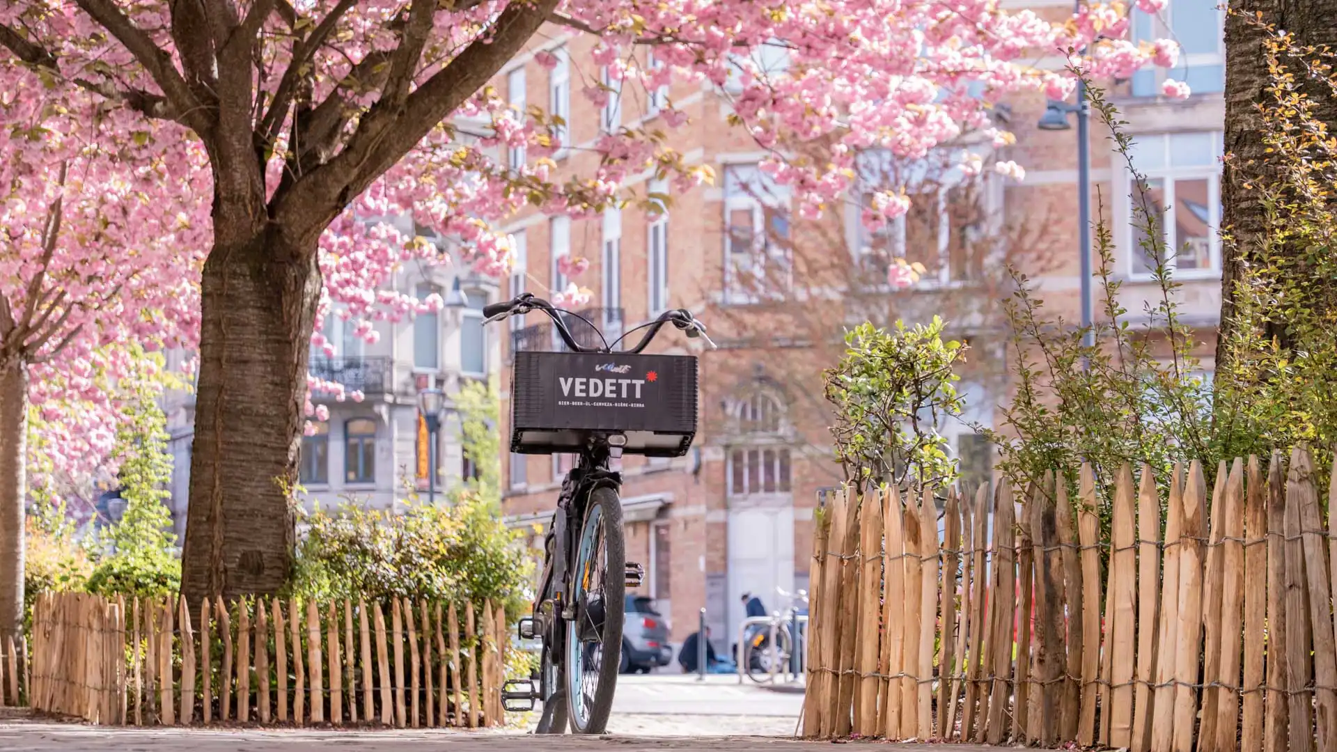 Vélo avec un panier Vedett devant les cerisiers du Japon en fleurs