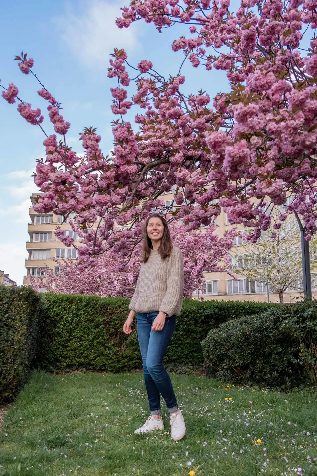 Femme posant devant les cerisiers du Japon en fleurs dans un parc à Bruxelles