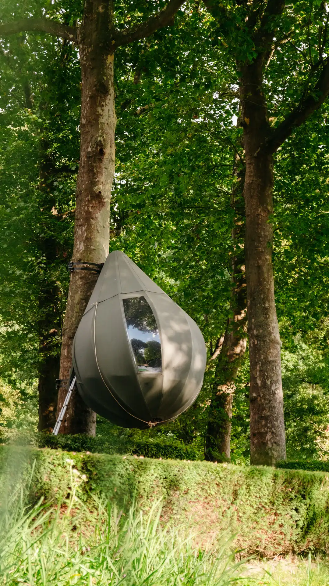 Pitkampen in the trees va Notelear