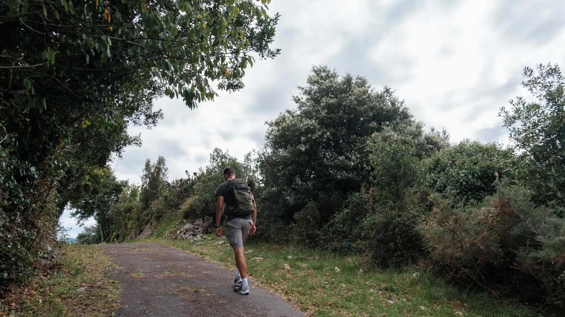 Mirador de Ardines, Asturies