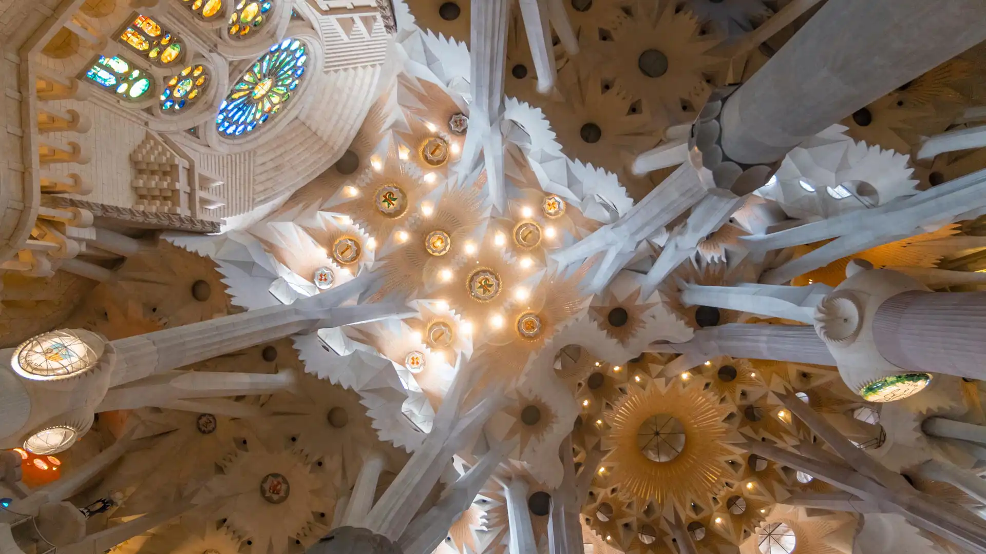 Plafond principal de la Sagrada Família à Barcelone