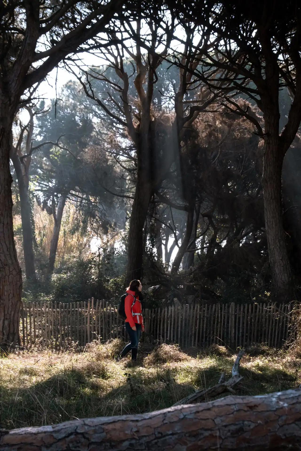 réserve naturelle du Delta de Llobregat à Barcelone