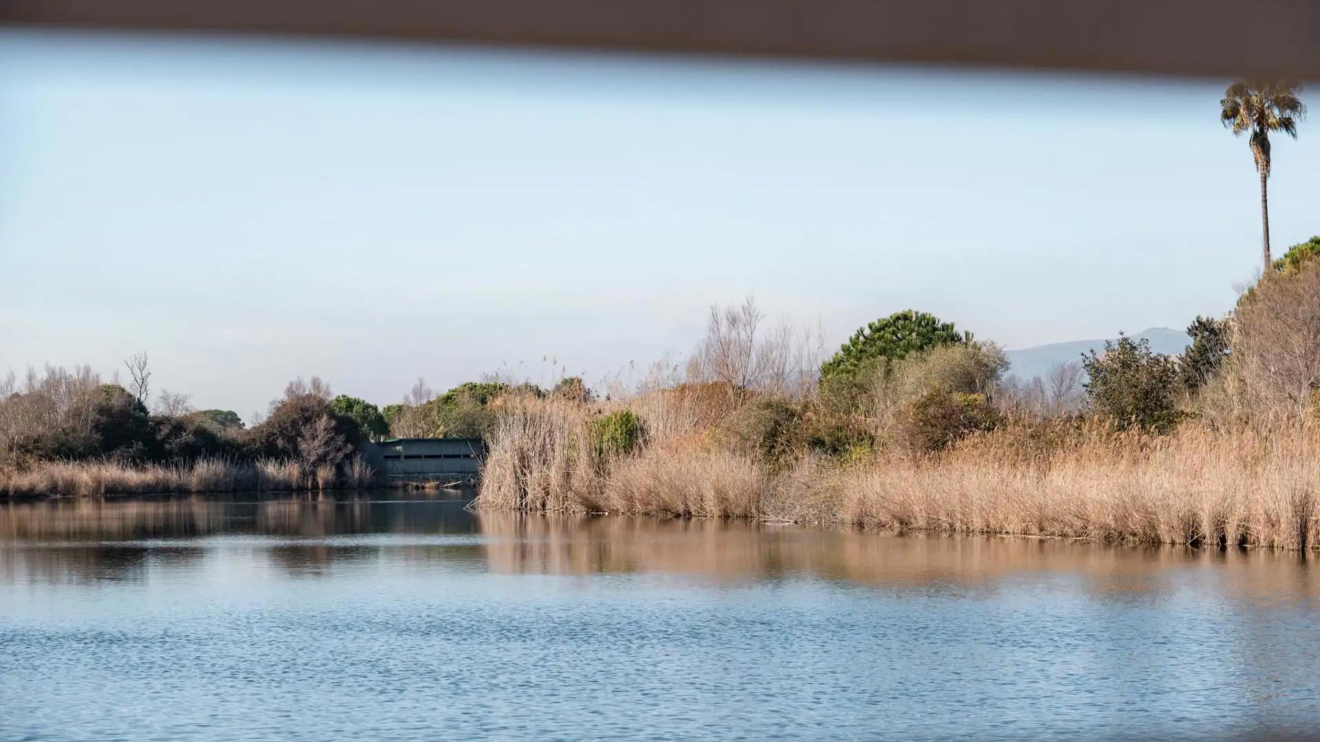 réserve naturelle du Delta de Llobregat à Barcelone