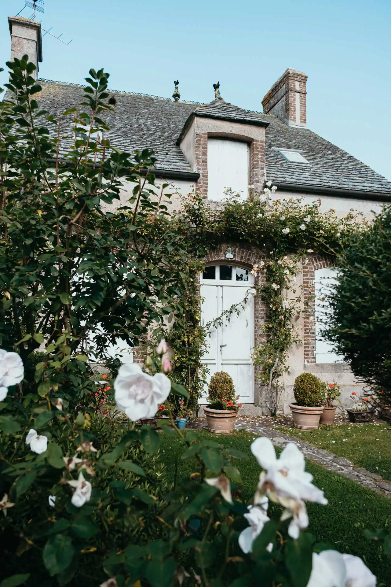 Maison en pierre entourée de lierres et de rosiers à Barfleur, plus beau village de France
