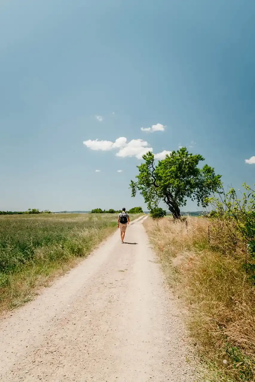 Chemin du grain de sel
