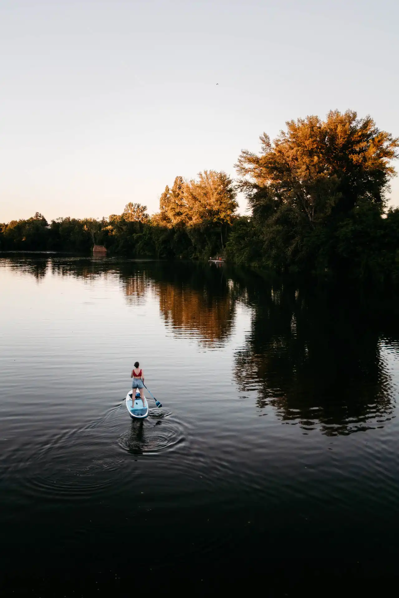 Paddle sur le Tarn