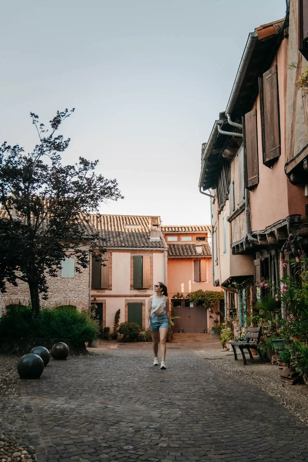Quartier de la cité épiscopale d'Albi