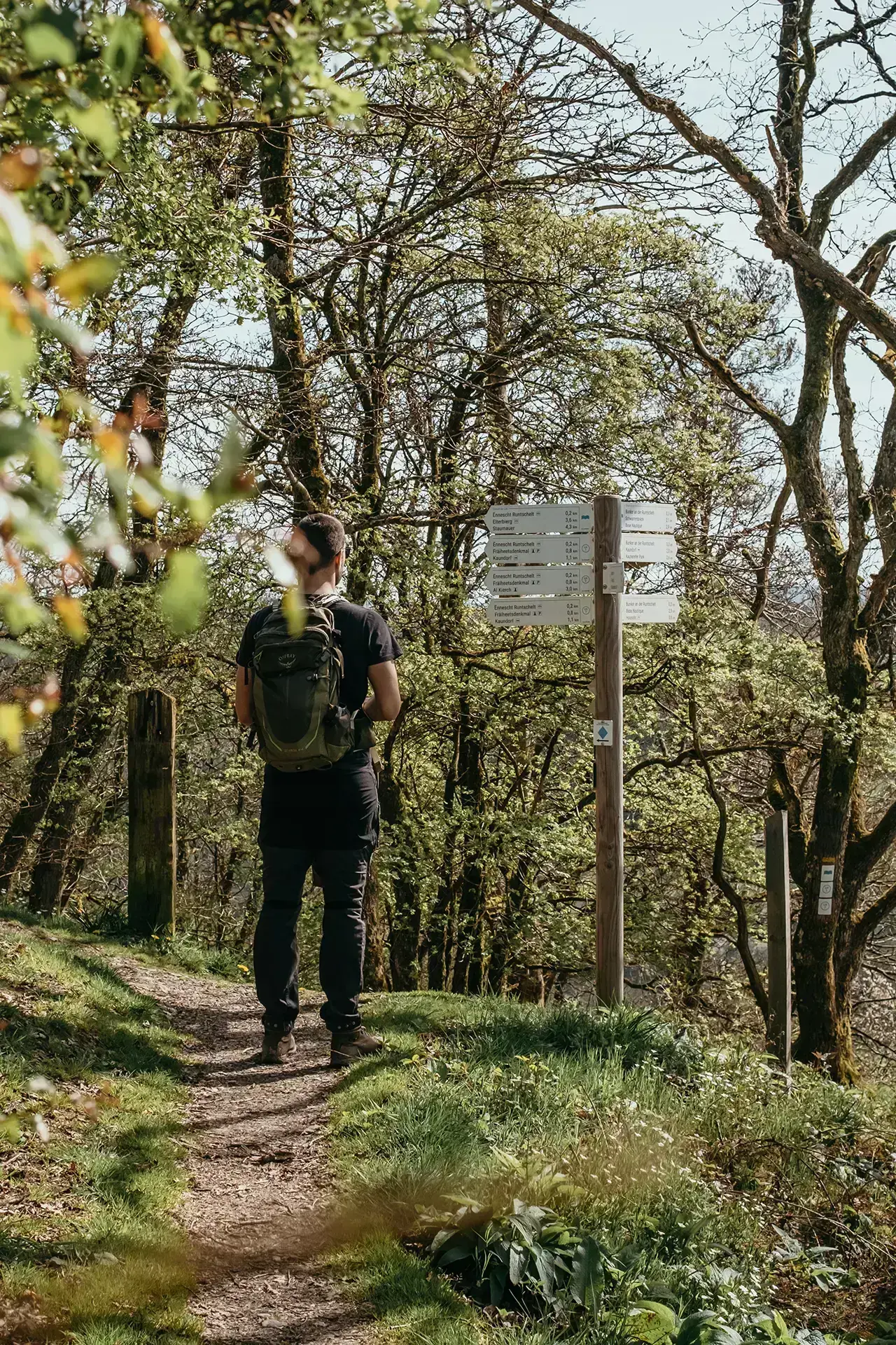 Lac de la Haute-Sûre au Grand-Duché du Luxembourg