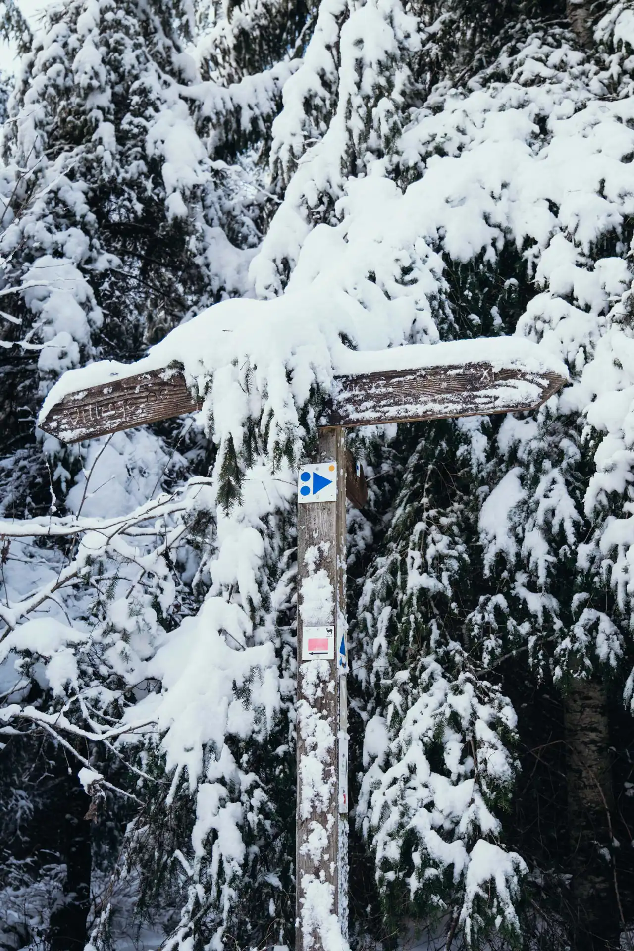 panneaux de direction en bois sous la neige