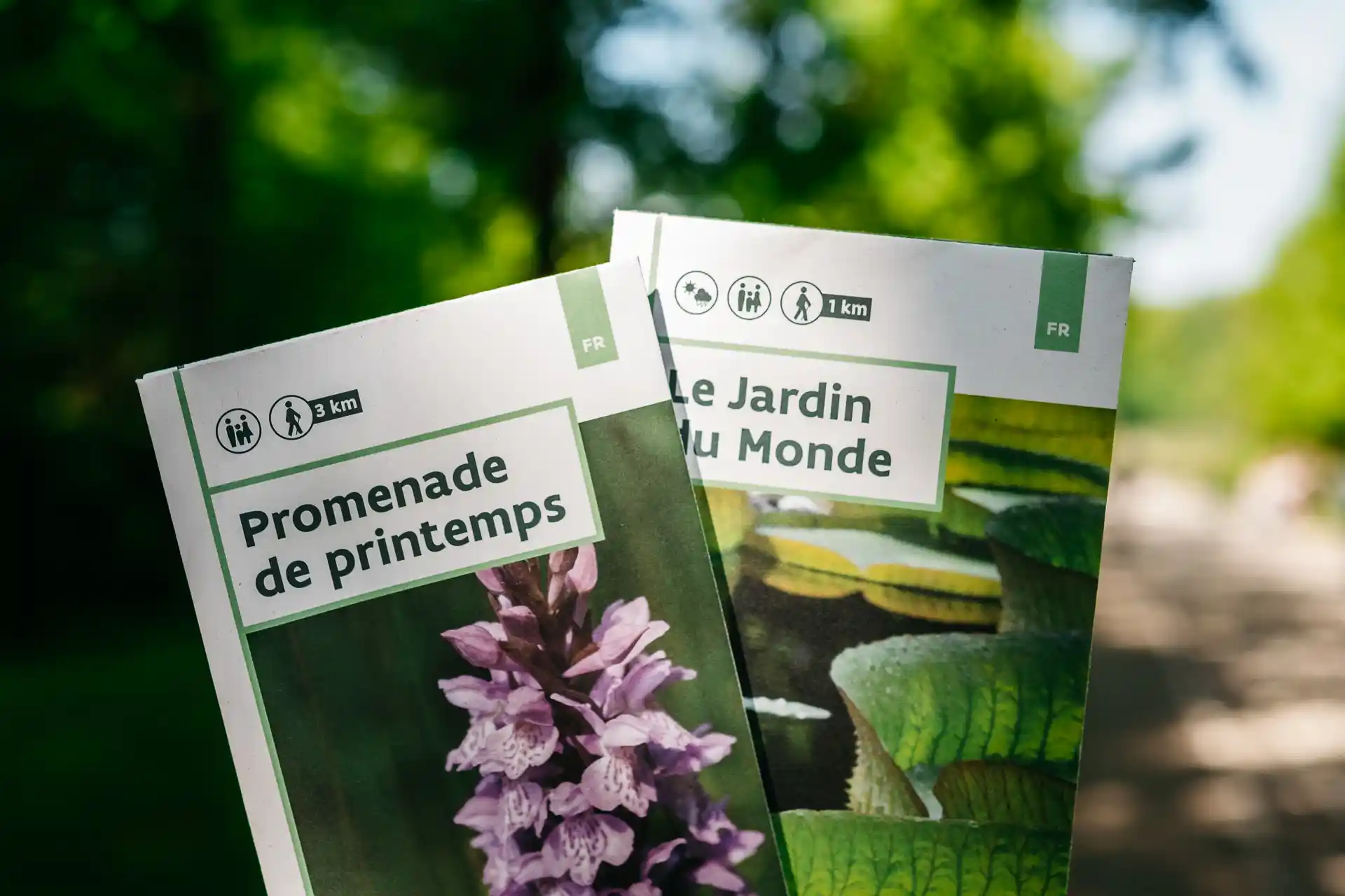 Jardin botanique de Meise au printemps