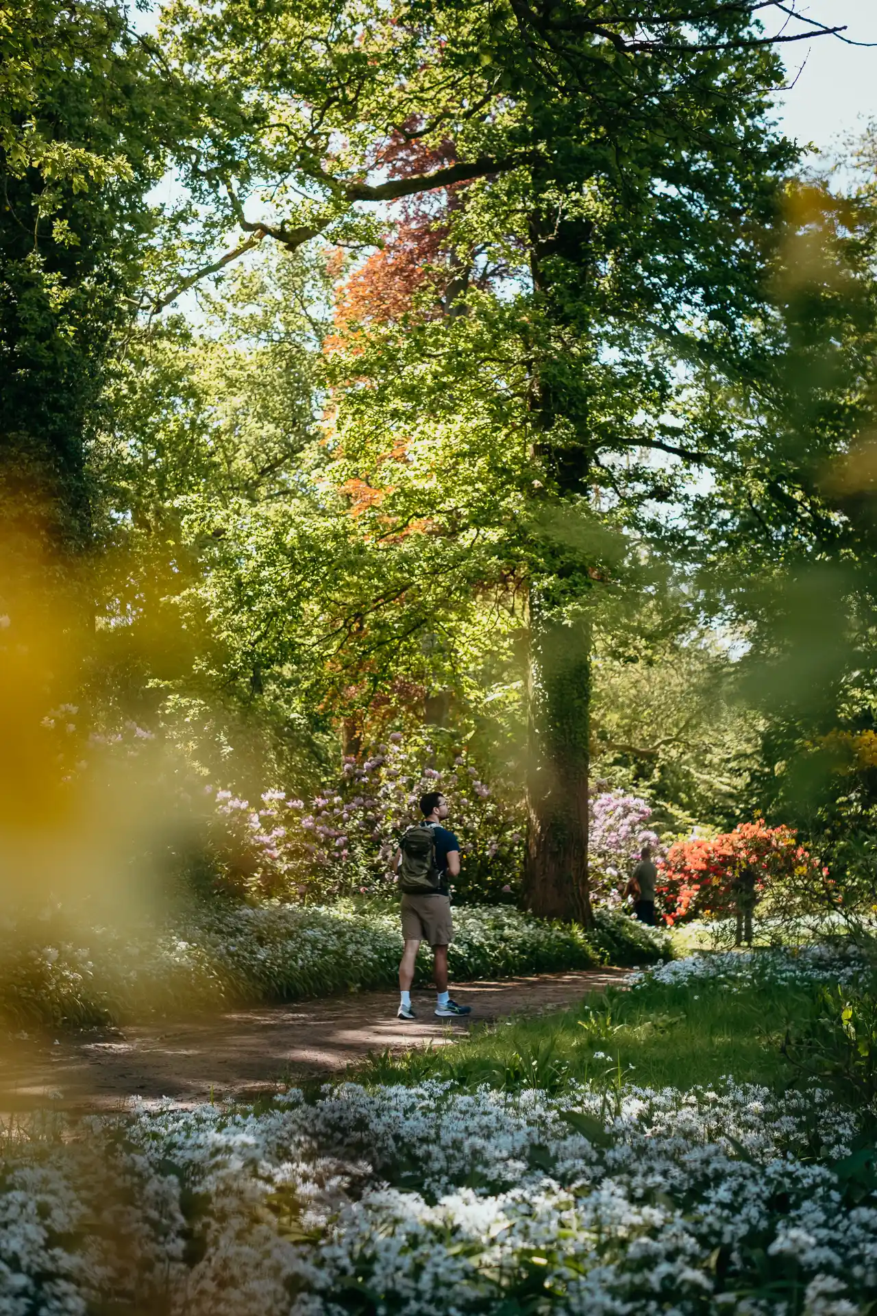 Jardin botanique de Meise au printemps