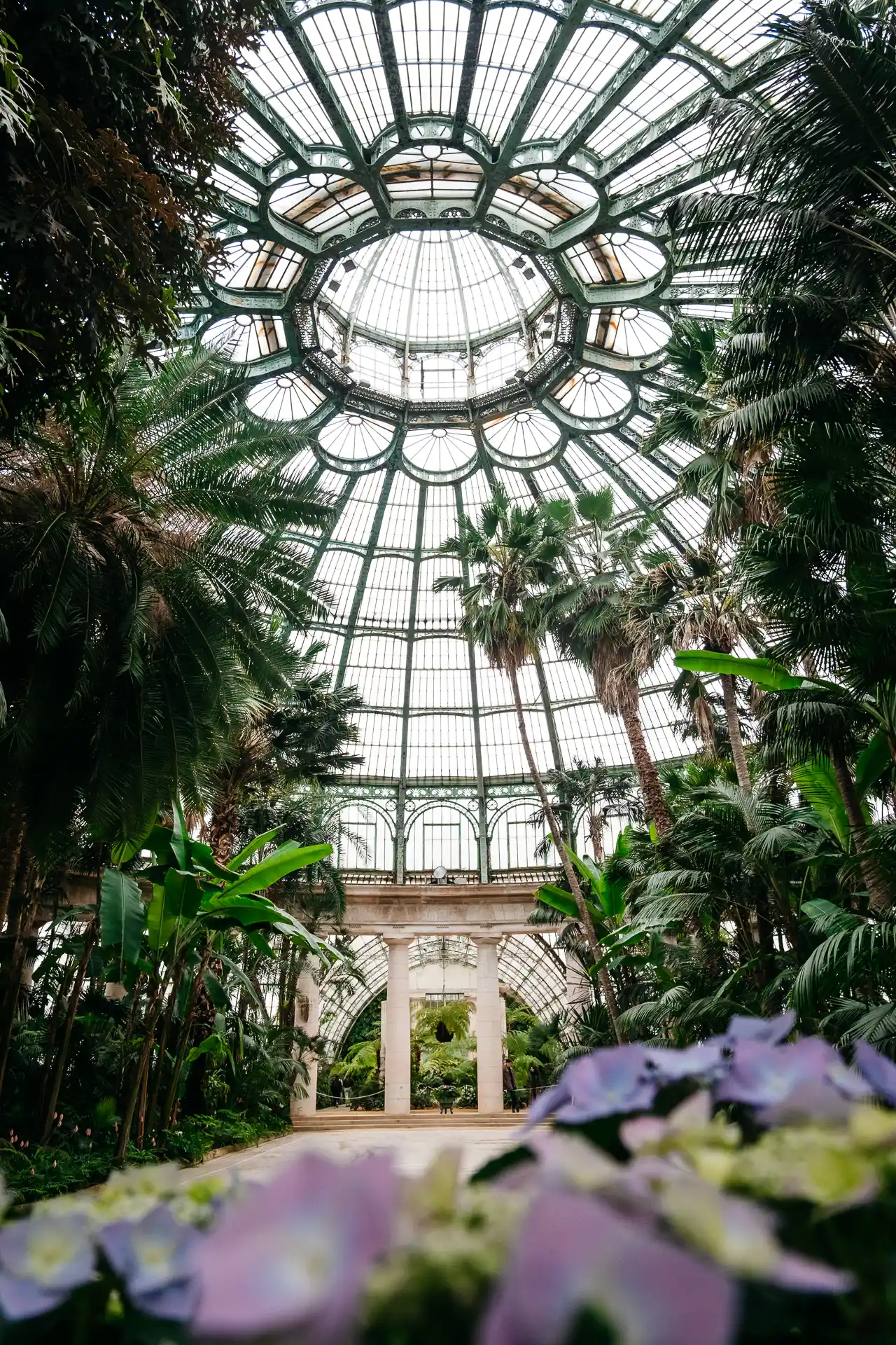 Jardin d'Hiver - Serres Royales de Laeken