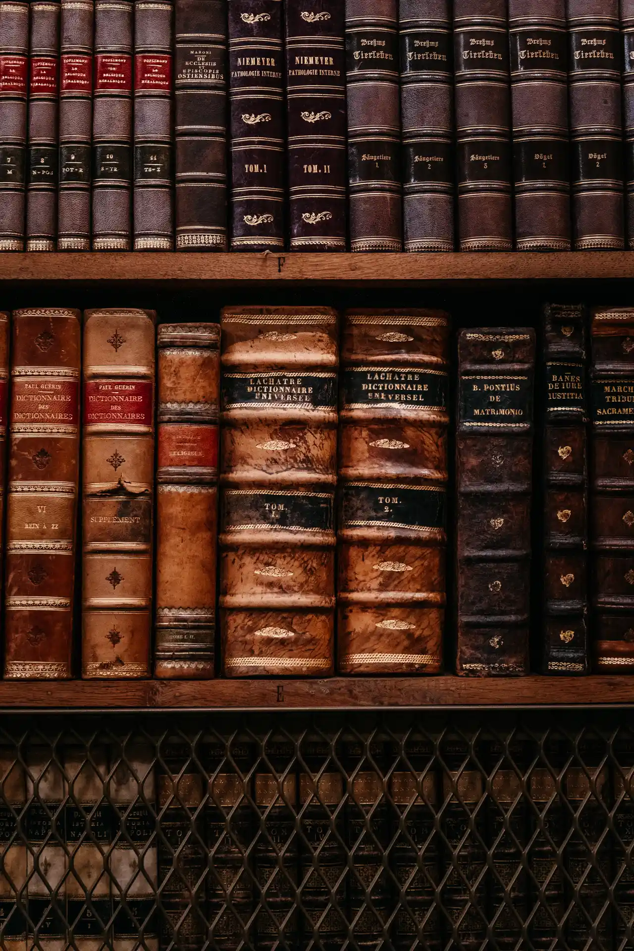 Bibliothèque Abbaye de Bornem