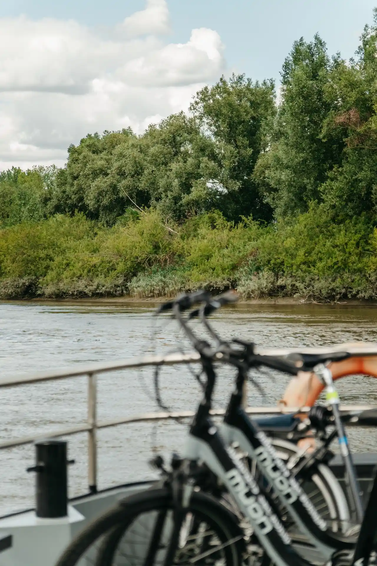 Traversée de l'Escaut avec un bac gratuit près d'Anvers en Belgique