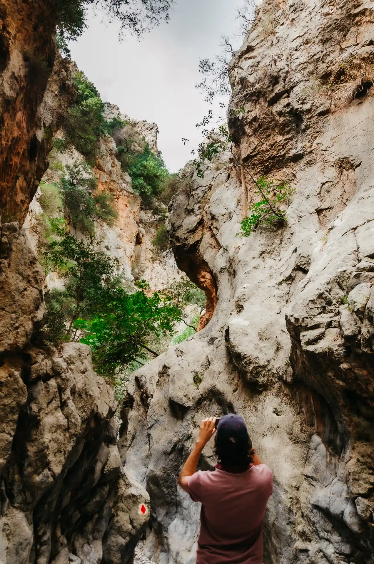 Randonnée dans la Gorge de Kritsa en Crète