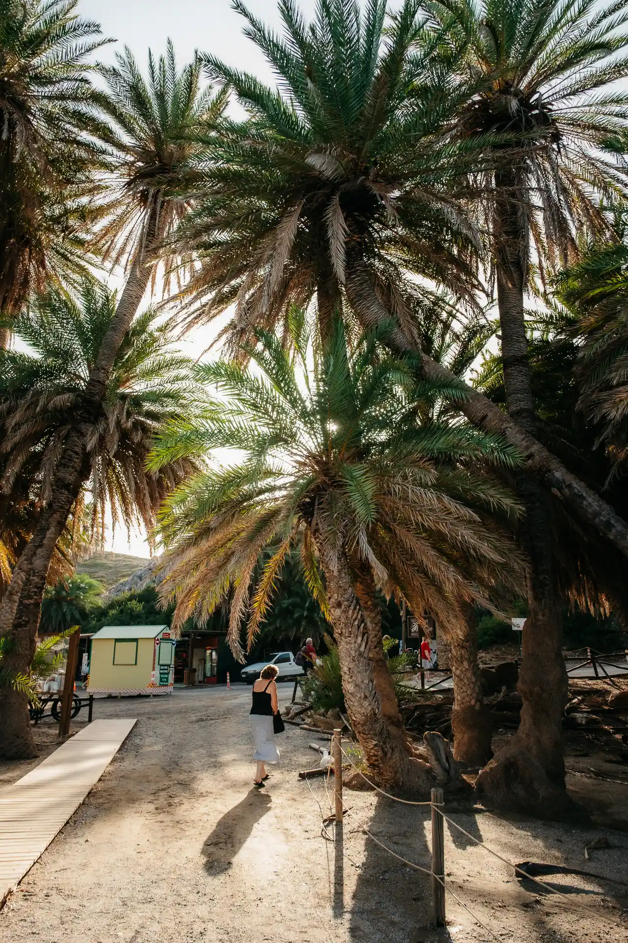Palmeraie de Vai à l'est de la Crète