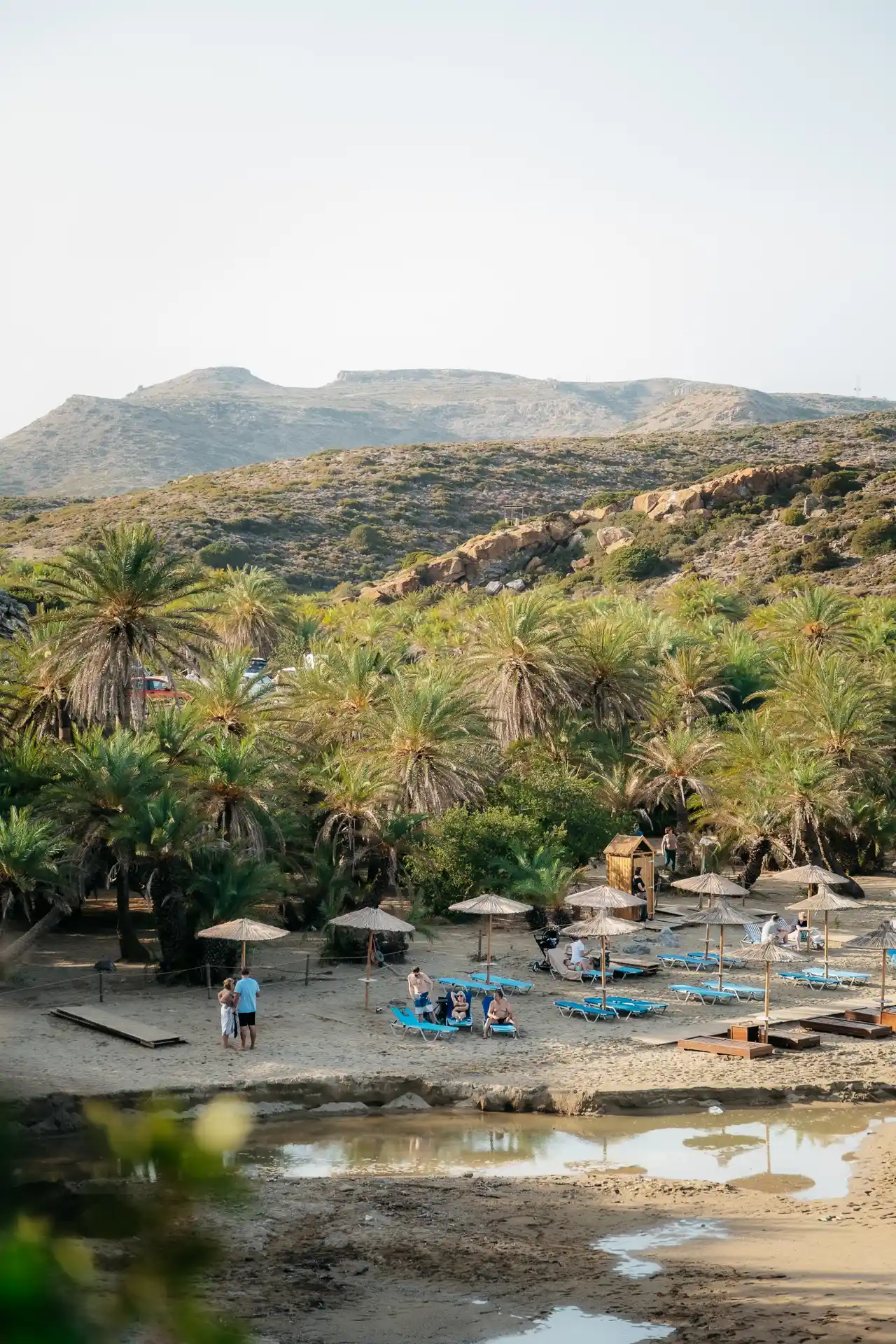 Palmeraie de Vai à l'est de la Crète