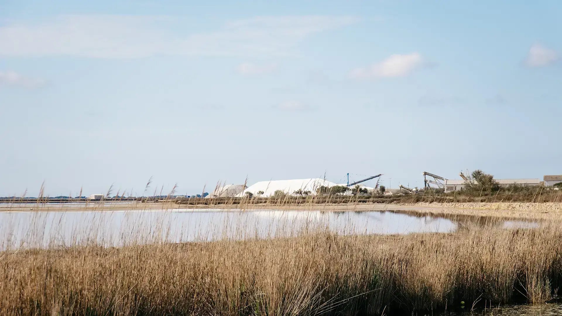 salins Aigues-Mortes