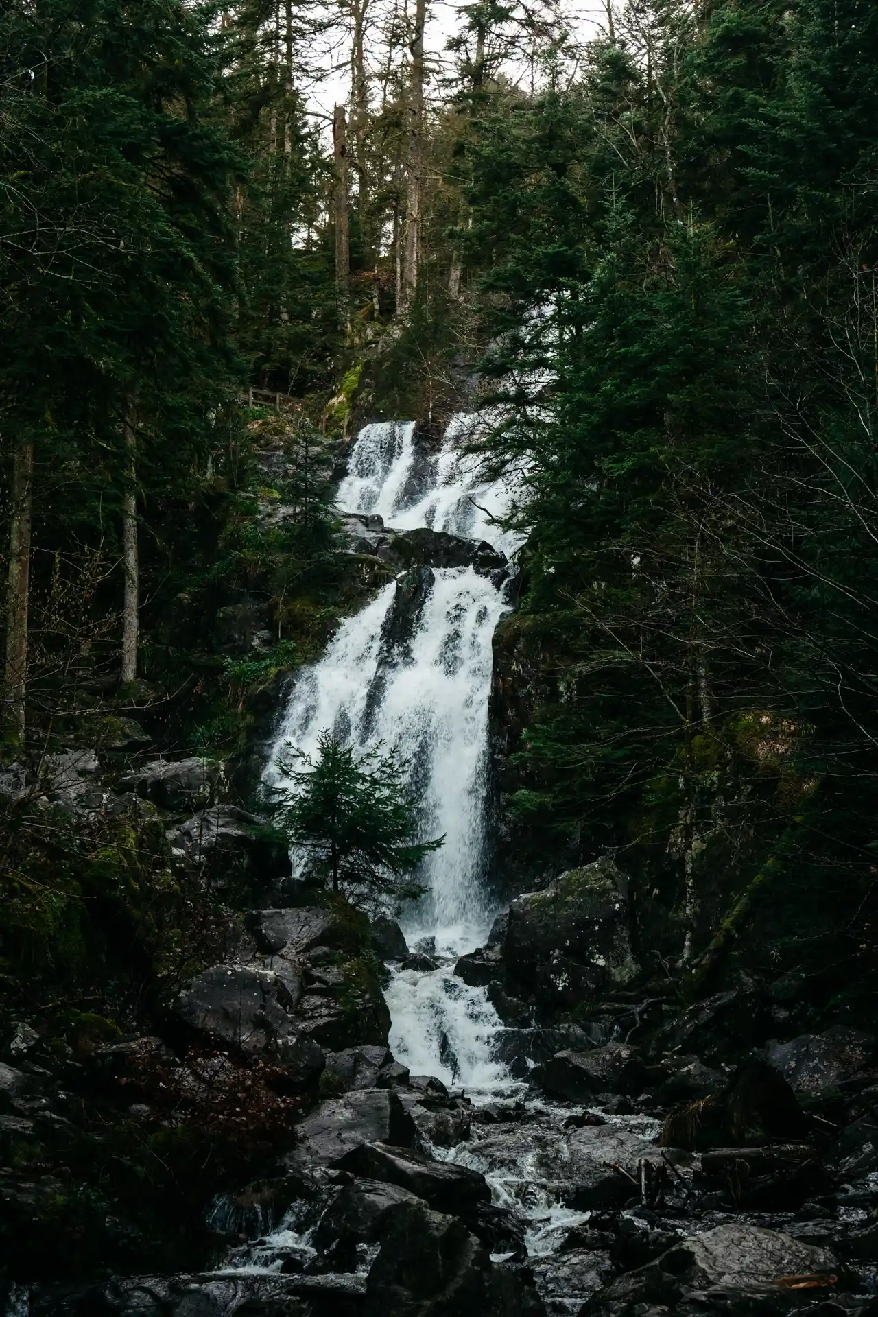 Cascade du Grand Tendon dans les Vosges en hiver