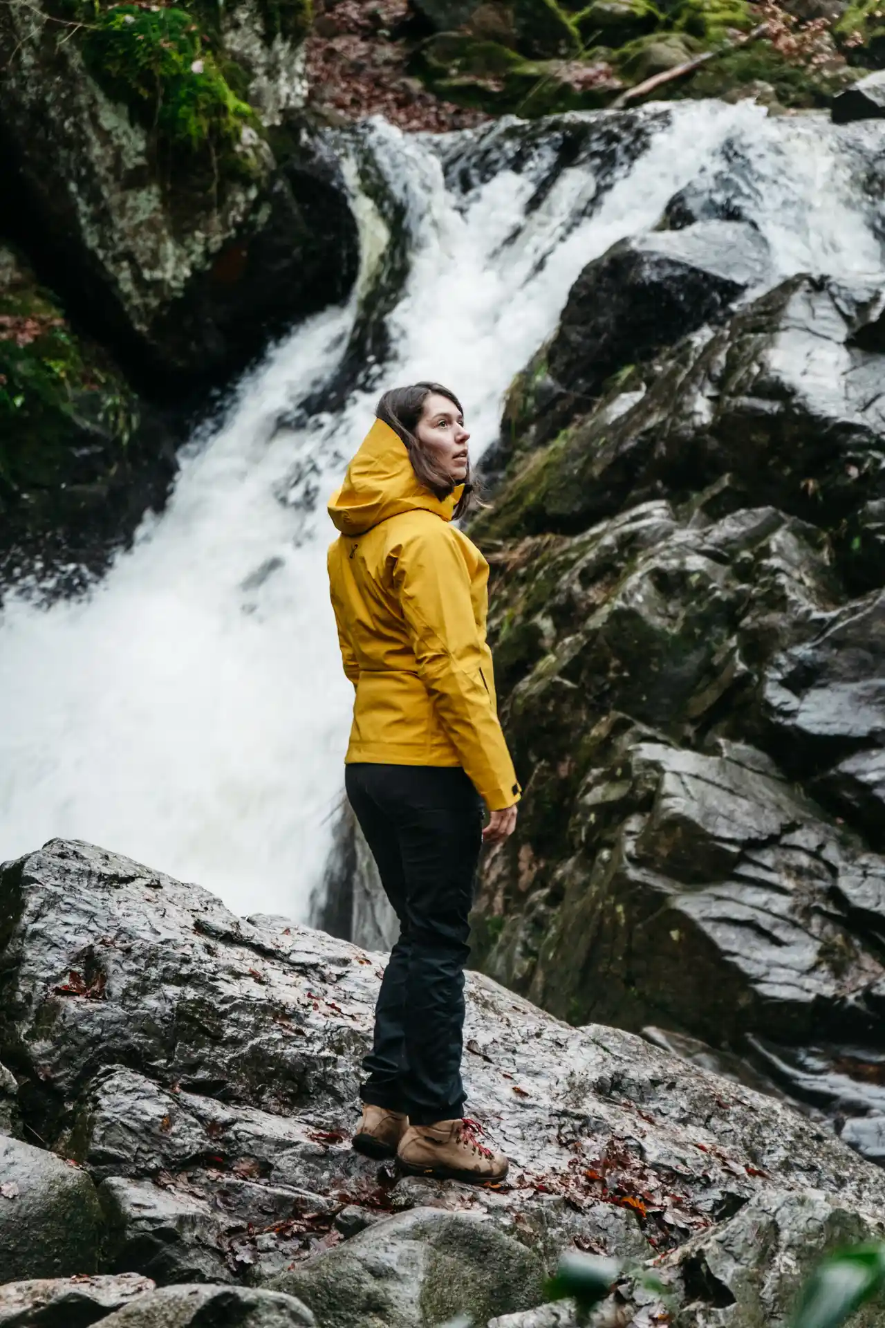 Cascade du Petit Tendon dans les Vosges en hiver