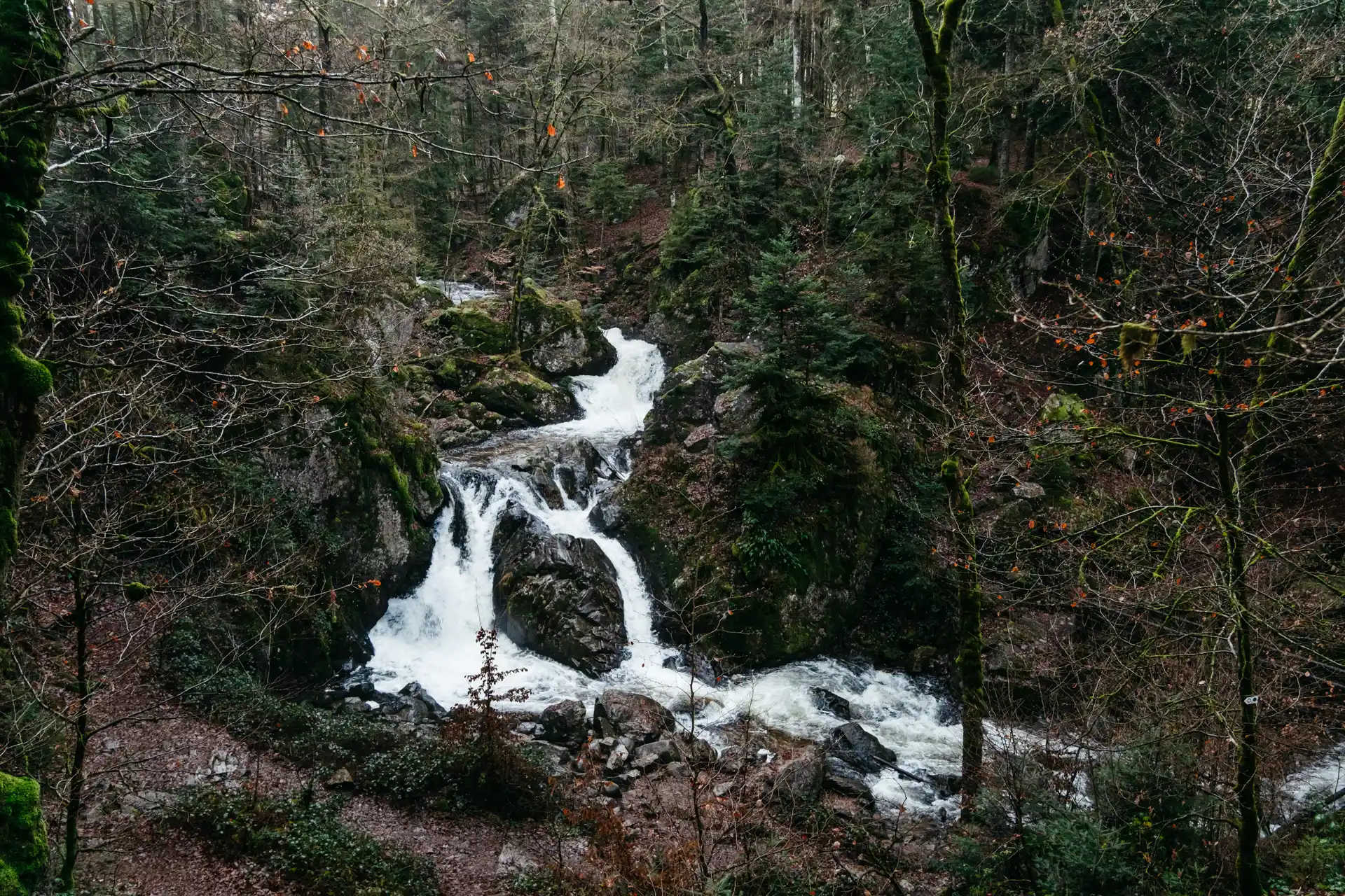 Cascade du Petit Tendon dans les Vosges en hiver