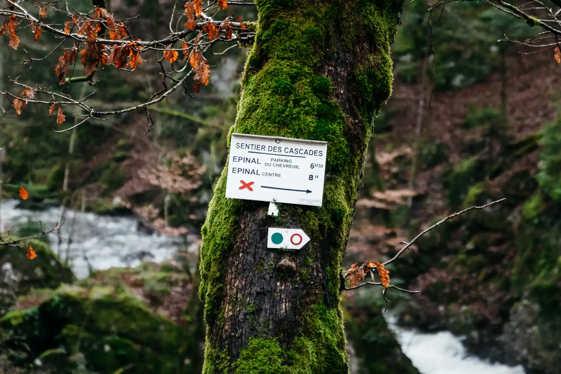 Randonnée des cascades du Tendons dans les Vosges
