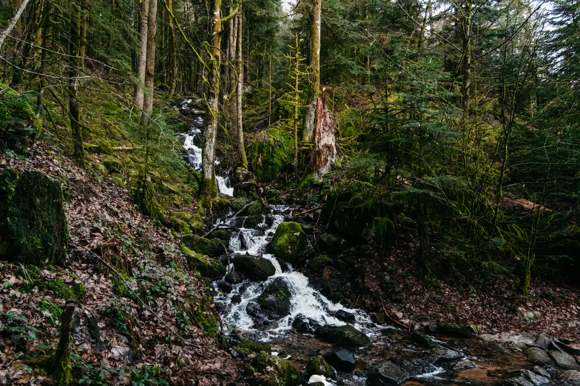 Randonnée des cascades du Tendons dans les Vosges