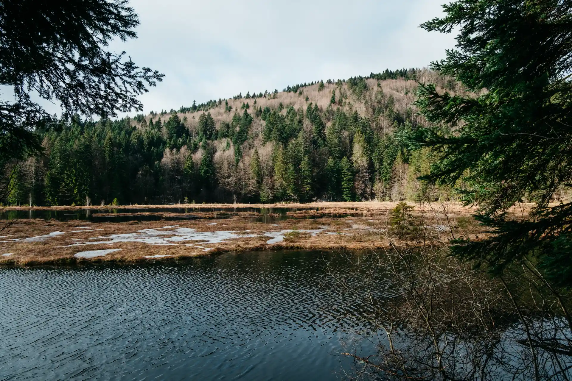 Randonnée du lac de Lispach dans les Vosges