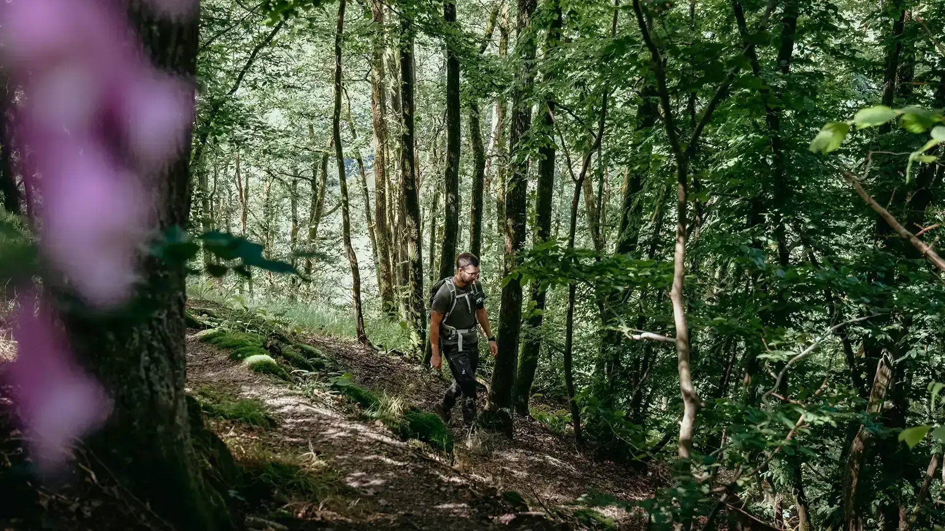 Randonneur dans les bois autour de Bivels