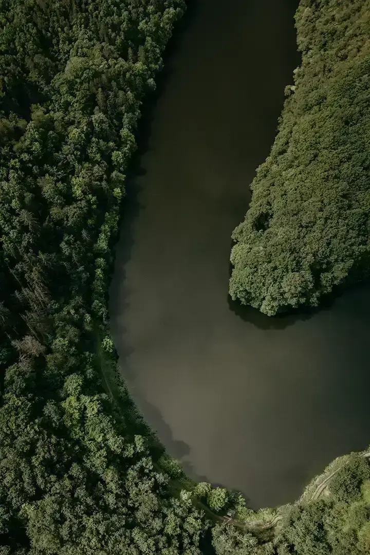 Méandre de l'our entouré d'arbres - Vu du ciel