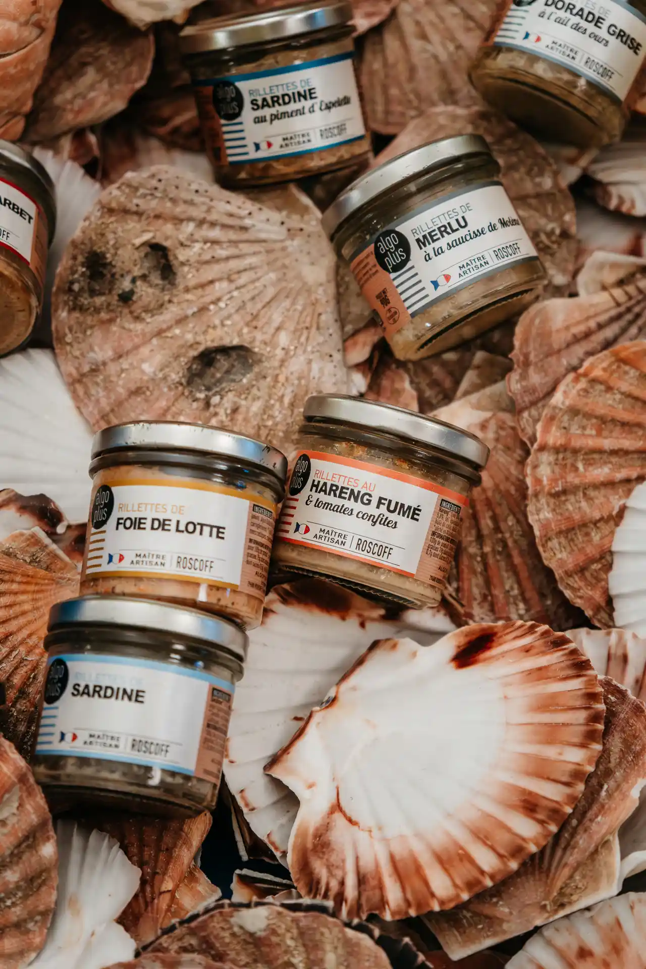 Visite d'Algoplus, conserverie d'algues à Roscoff en Bretagne