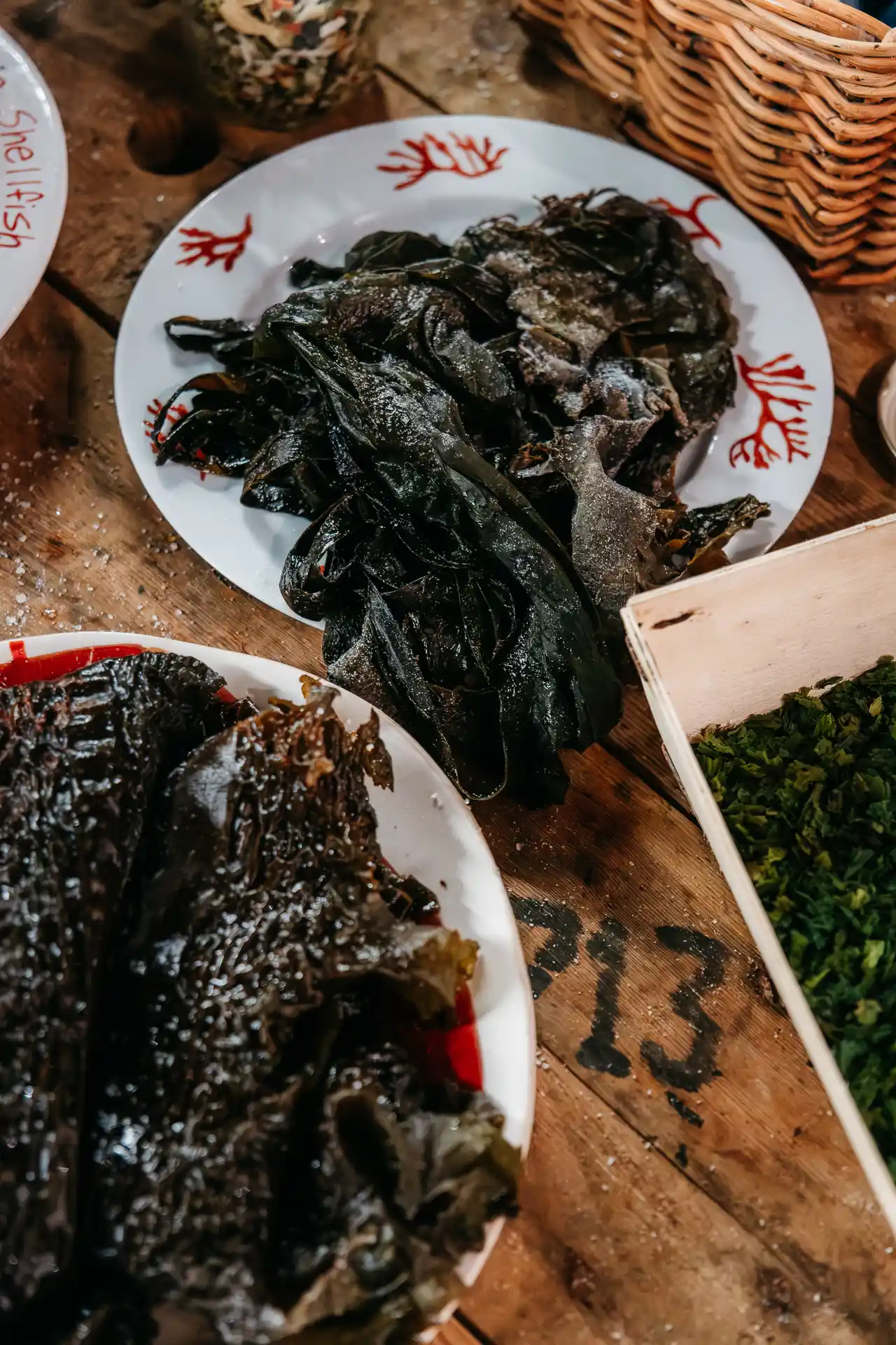 Visite d'Algoplus, conserverie d'algues à Roscoff en Bretagne