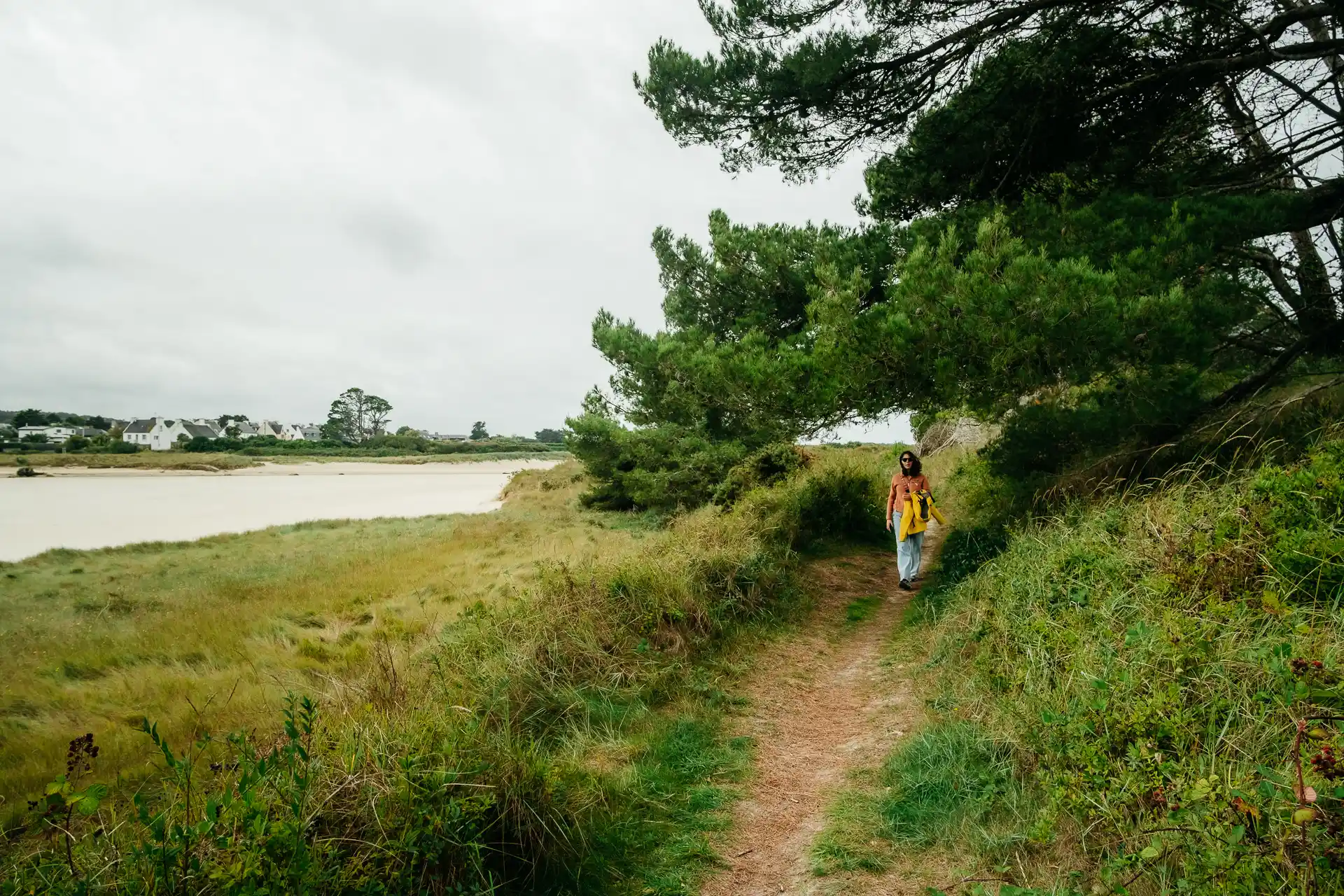 Dunes et forêt de Santec en Bretagne