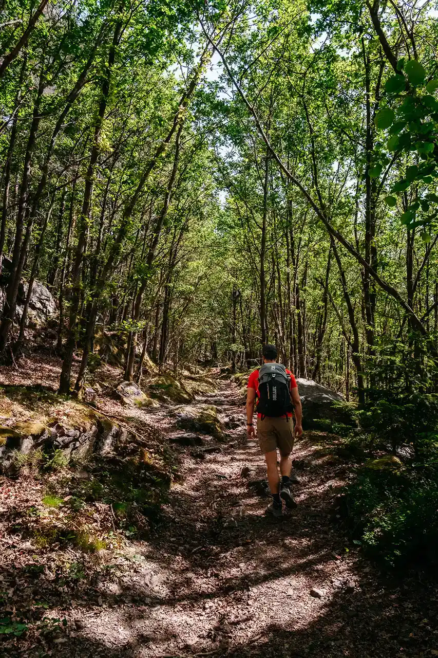 Randonneur en forêt sur le trek de Gouvy à Aywaille en Wallonie