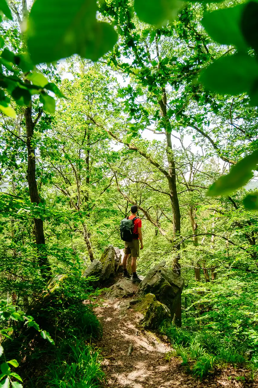 Randonnée à Coo en forêt