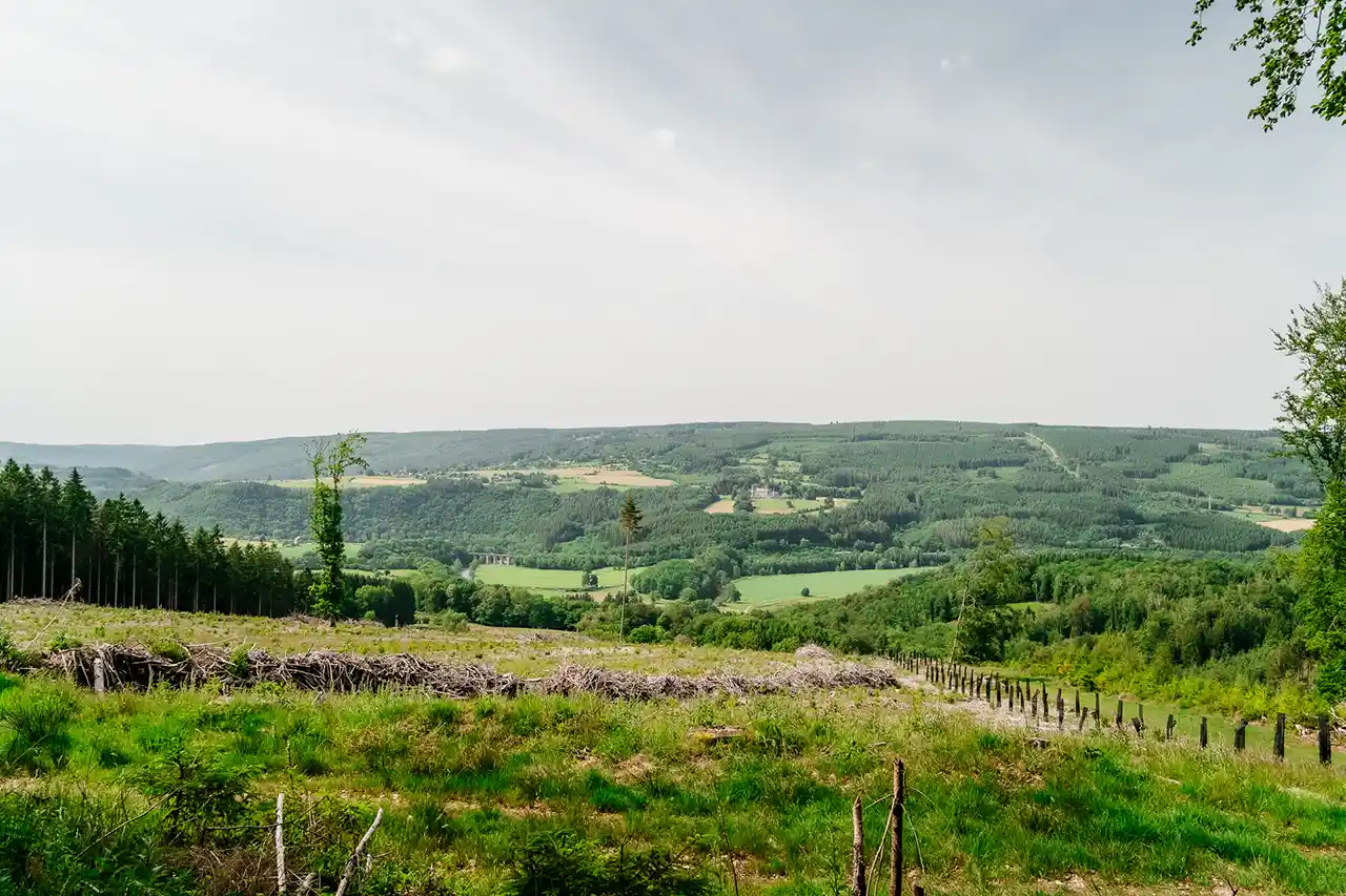 Paysage forestier et vallée sur Monceau