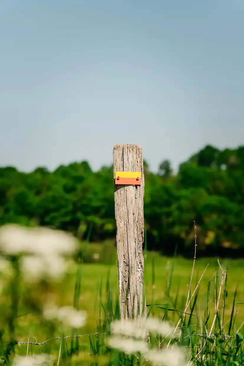 Poteau en bois avec le balisage GR